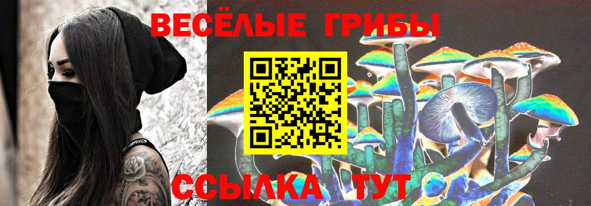 Галлюциногенные грибы MAGIC MUSHROOMS  Вход с VPN  Ставрополь 